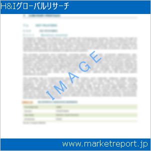 市場と産業調査レポートのイメージ